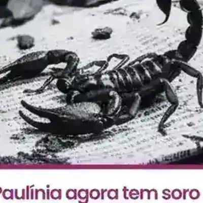 Paul�nia agora tem soro antiescorpi�nico no  Hospital Municipal.