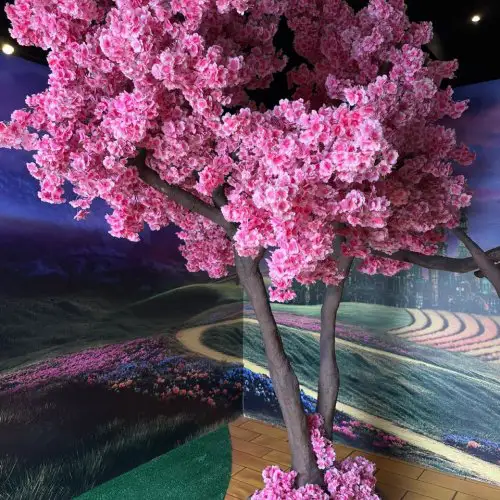 Iguatemi Campinas recebe Wicked  A Experi�ncia, pela primeira vez no Brasil