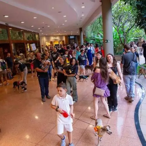 Galleria Shopping promove Pet Day com Encontro de Cavaliers